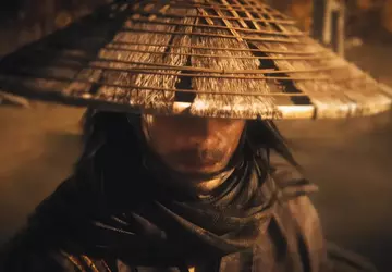 Samoerai, zweefvliegen en ... katten: Rise ...