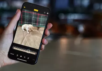 Met de nieuwe tool van Google ...