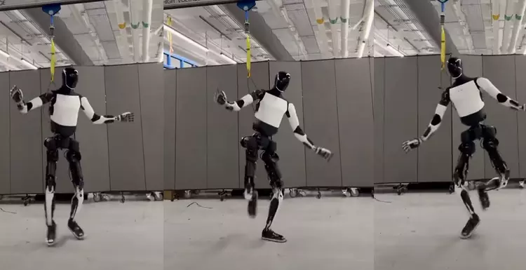 Choreografie geweldig: Musk liet de dans ...