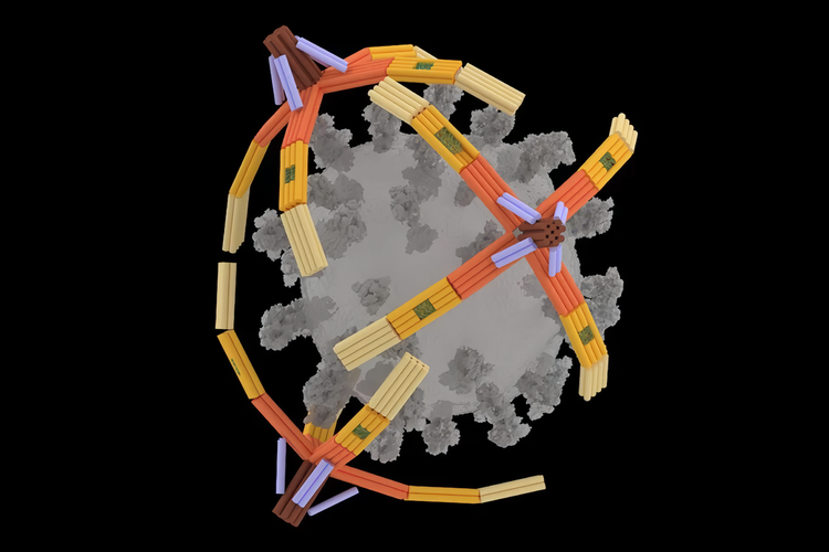 Wetenschappers hebben een microscopische "arm" gemaakt ...