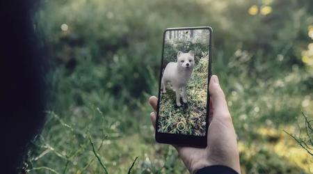 Google verwijdert de meeste 3D-dieren en andere modellen uit Zoeken