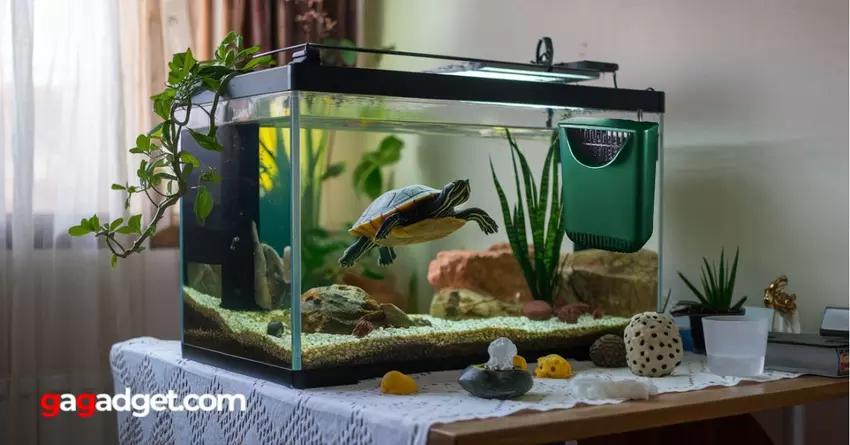 Beste schildpaddenbakfilter 2025