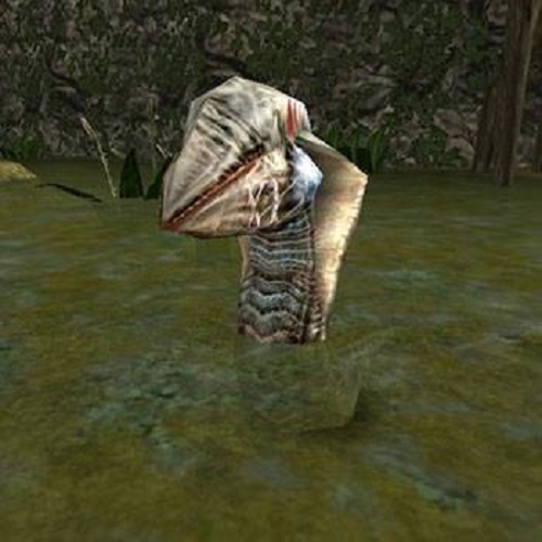 Nieuw uiterlijk van het bloeddorstige roofdier: de ontwikkelaars van de Gothic-remake toonden het bijgewerkte uiterlijk van Swamp Shark-3 Nieuw uiterlijk van het bloeddorstige roofdier: de ontwikkelaars van de Gothic-remake toonden het bijgewerkte uiterlijk van Swamp Shark-3