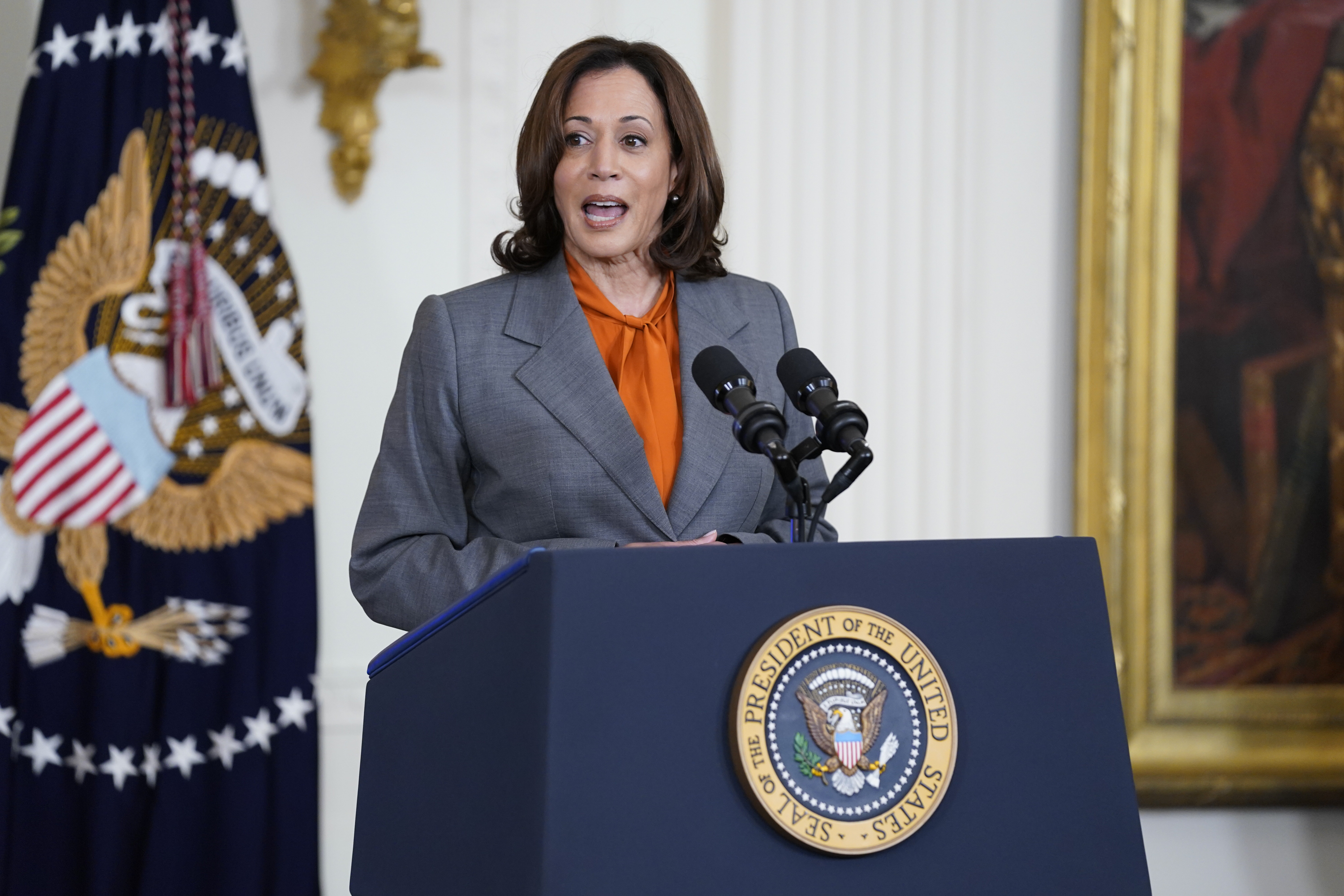 Kamala Harris kondigt de oprichting aan van een AI-beveiligingsinstituut in de VS Kamala Harris kondigt de oprichting aan van een AI-beveiligingsinstituut in de VS