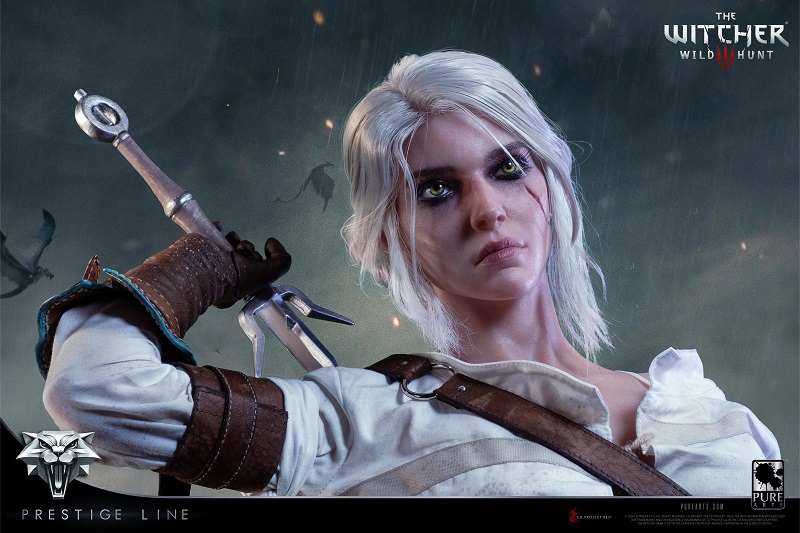 Heraut in de stijl van The Witcher Heraut in de stijl van The Witcher
