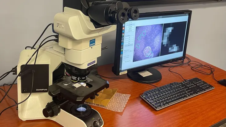 Google en het Pentagon hebben een op kunstmatige intelligentie gebaseerde microscoop ontwikkeld voor kankerdiagnose-2 Google en het Pentagon hebben een op kunstmatige intelligentie gebaseerde microscoop ontwikkeld voor kankerdiagnose-2