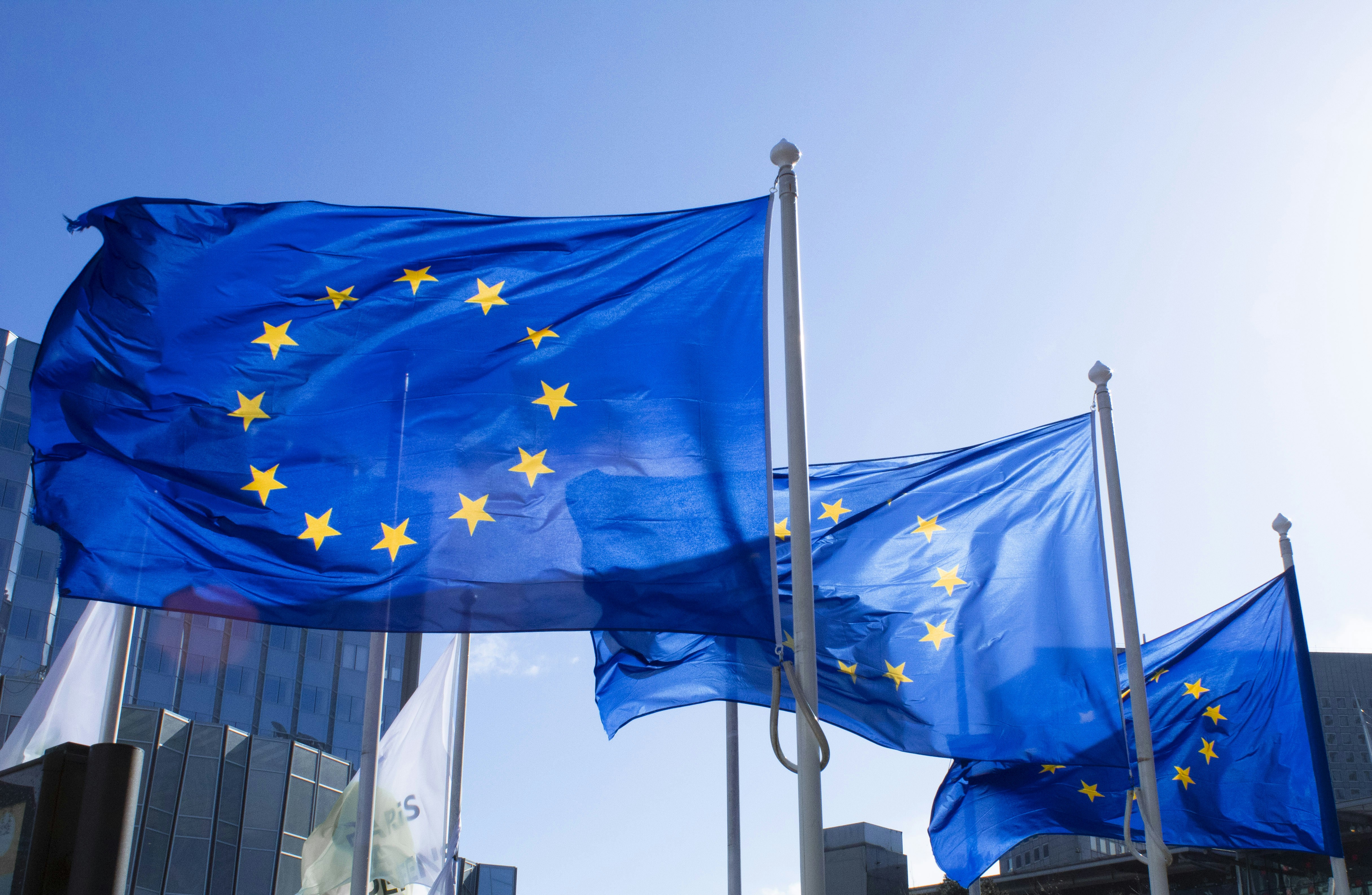 Techgiganten moeten AI-gegenereerde inhoud labelen in aanloop naar EU-verkiezingen Techgiganten moeten AI-gegenereerde inhoud labelen in aanloop naar EU-verkiezingen