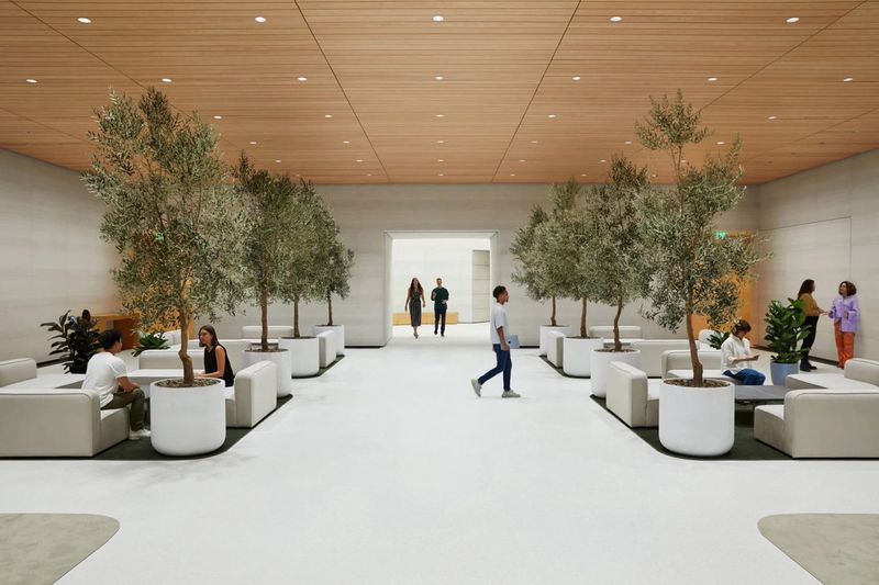 Apple Park interieur Apple Park interieur