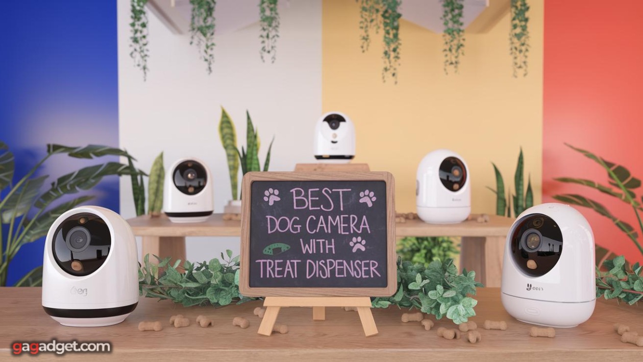 Beste hondencamera met snackdispenser Beste hondencamera met snackdispenser