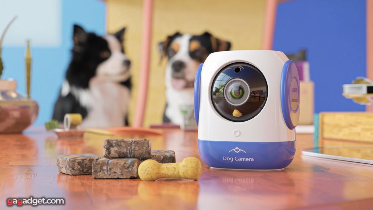 Bewakingscamera voor honden met beloningen Bewakingscamera voor honden met beloningen
