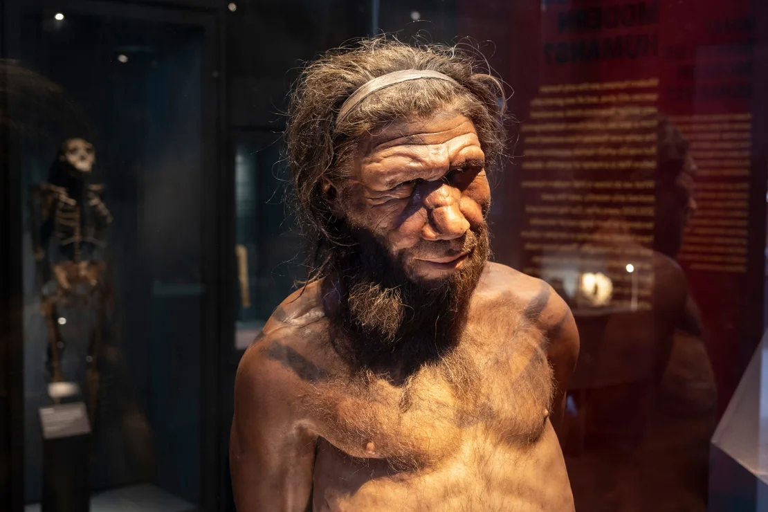 AI heeft antimicrobiële moleculen uit Neanderthalers weer tot leven gebracht om superbacteriën te bestrijden AI heeft antimicrobiële moleculen uit Neanderthalers weer tot leven gebracht om superbacteriën te bestrijden