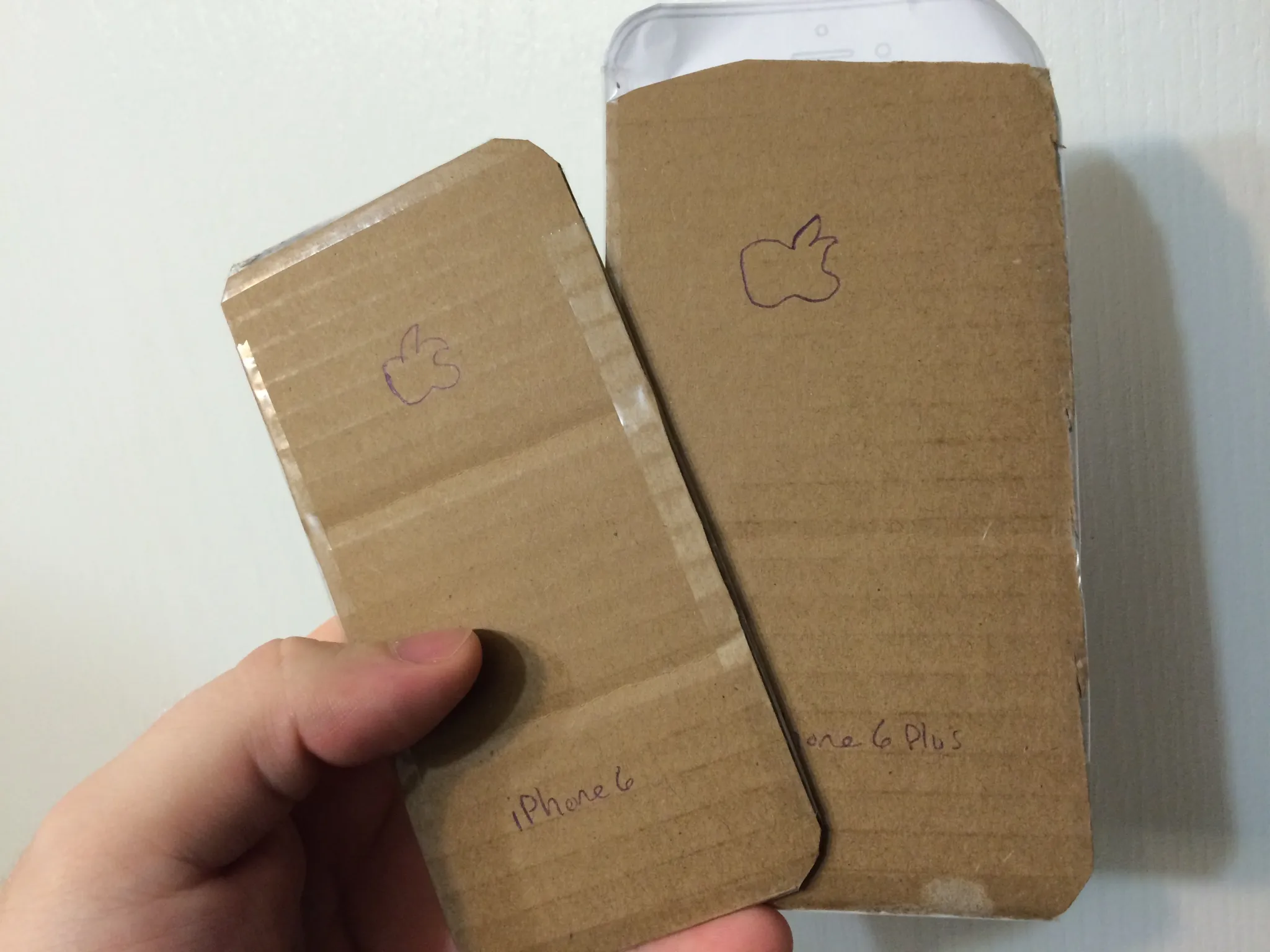 iPhone 17 model iPhone 17 model