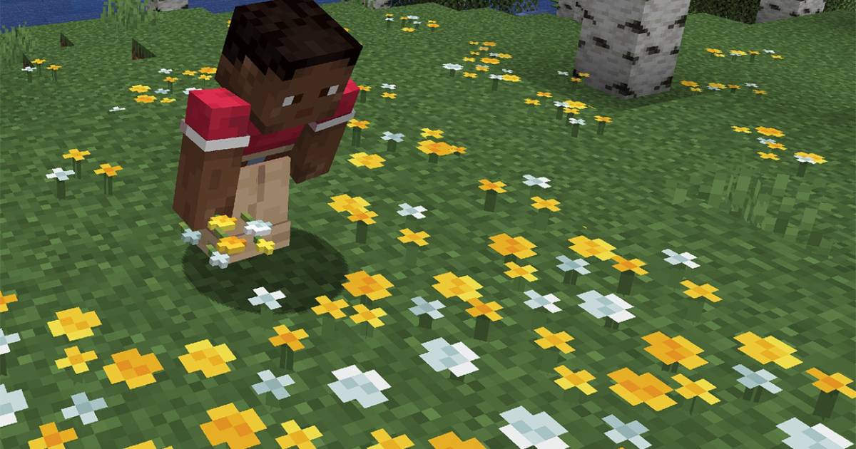 Wild landschap in Minecraft met nieuwe kleuren Wild landschap in Minecraft met nieuwe kleuren