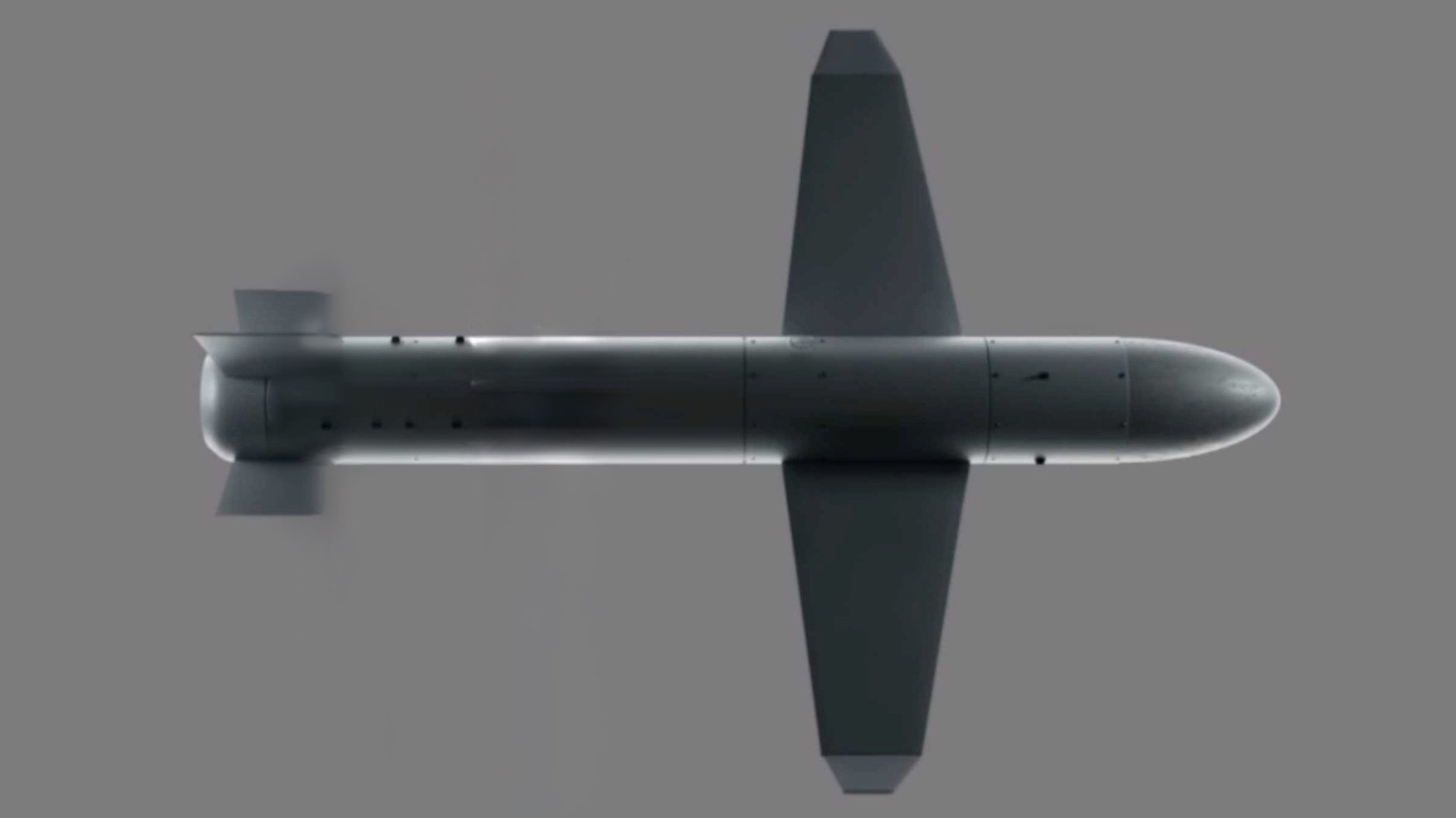 Palyanytsia drone missile Palyanytsia drone missile