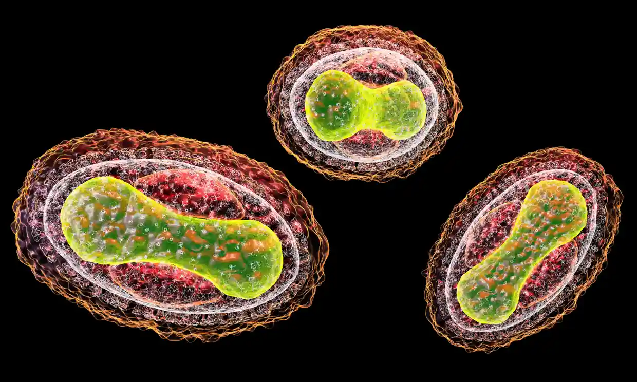 AI-gebaseerde chatbots kunnen helpen bij het plannen van een biologische aanval - onderzoek AI-gebaseerde chatbots kunnen helpen bij het plannen van een biologische aanval - onderzoek