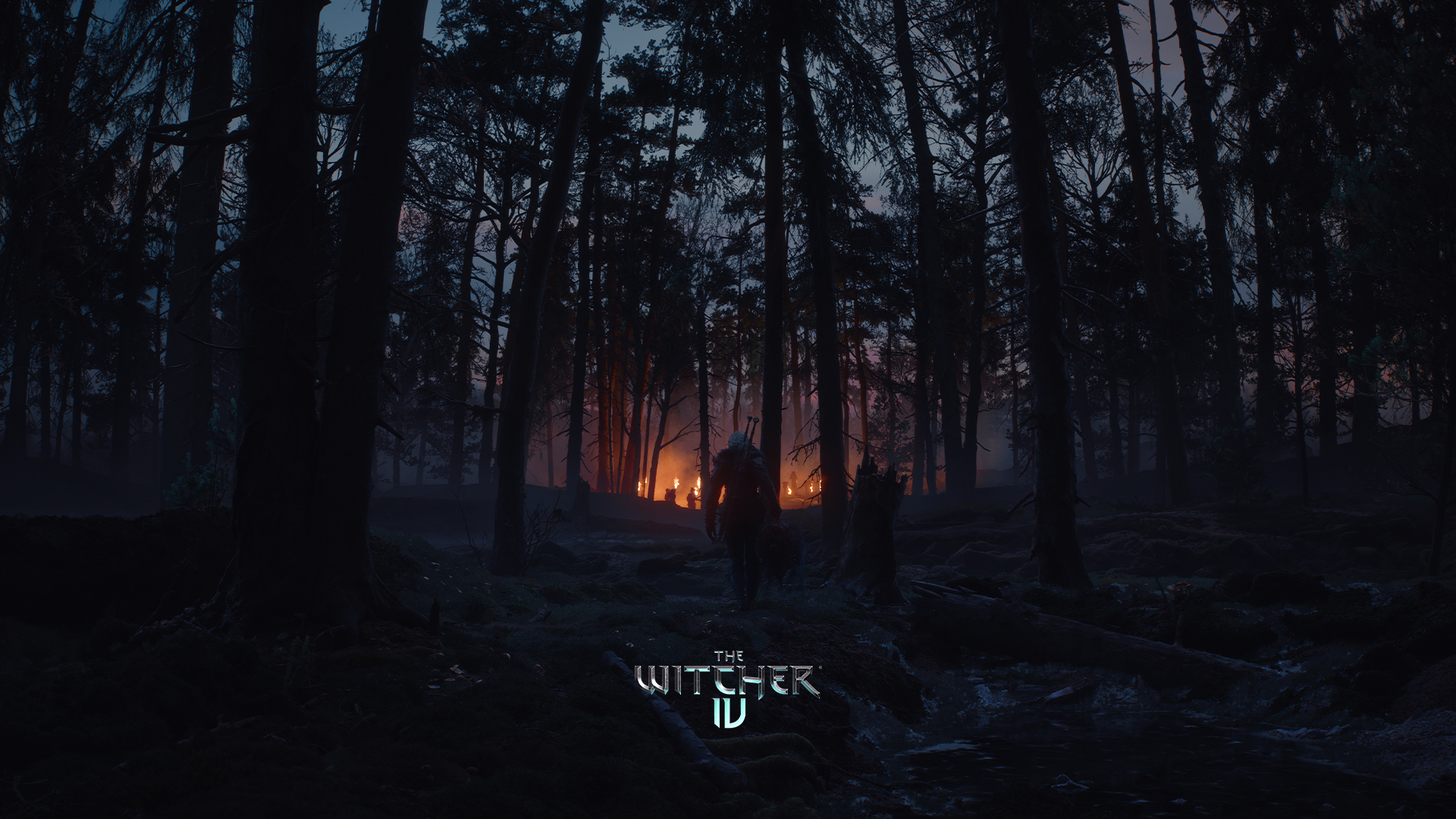 The Witcher 4 - achtergrond 1 The Witcher 4 - achtergrond 1