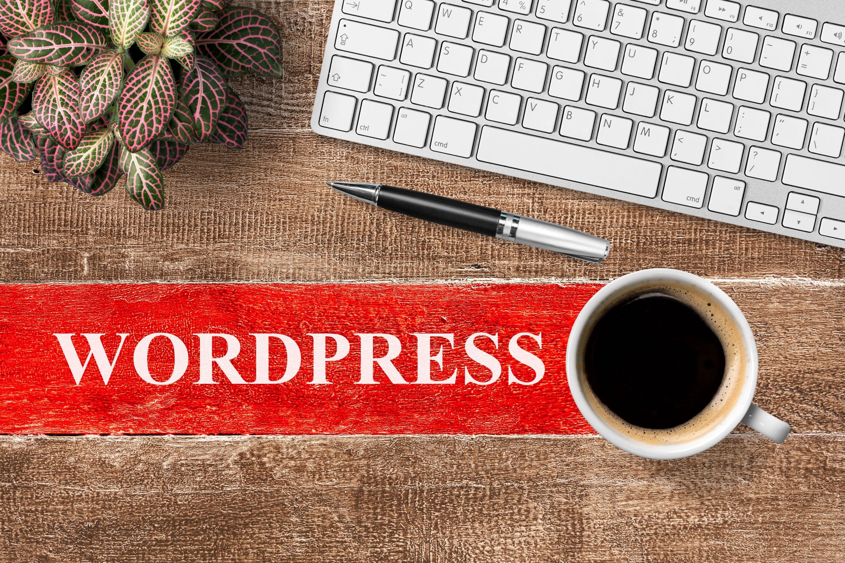De interessantste functies van Wordpress De interessantste functies van Wordpress
