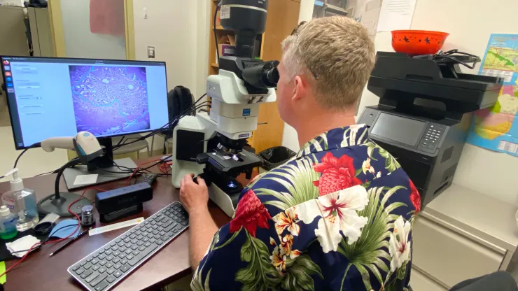 Google en het Pentagon hebben een op kunstmatige intelligentie gebaseerde microscoop ontwikkeld voor kankerdiagnose-4 Google en het Pentagon hebben een op kunstmatige intelligentie gebaseerde microscoop ontwikkeld voor kankerdiagnose-4